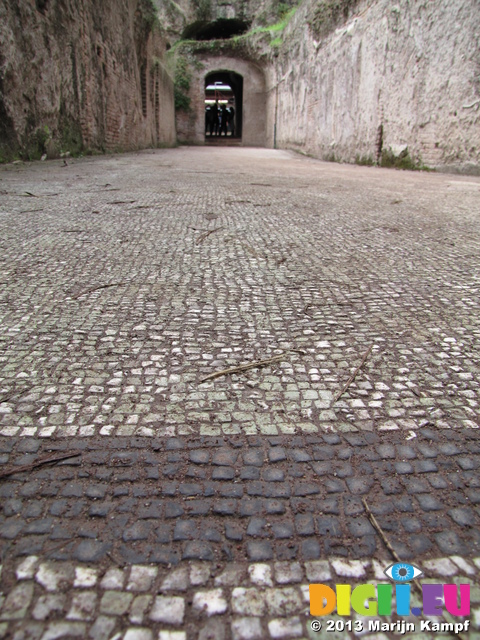SX30454 Mosaic on floor of Neronian Cryptoporticus underground corridor